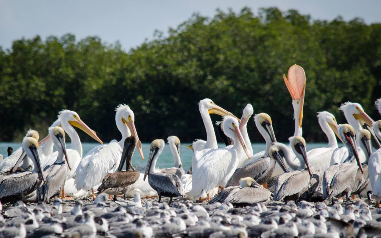 Hotel Rivera Del Rio La Pesca Kültér fotó